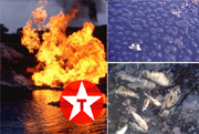 Burning well, dead butterfly in crude oil, dead fish in river